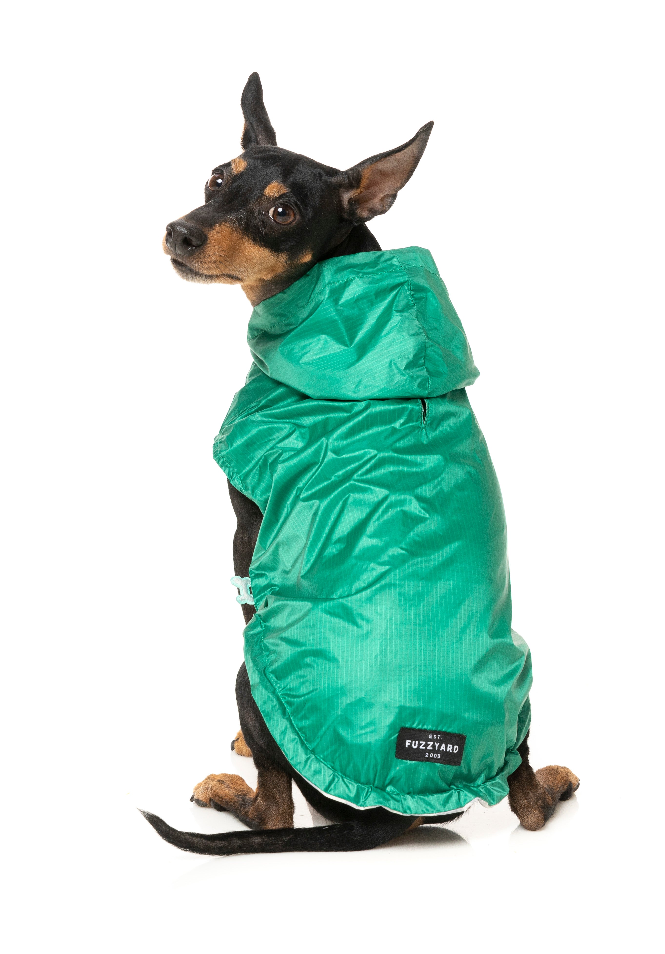 Flipside Raincoat - Green/Beige