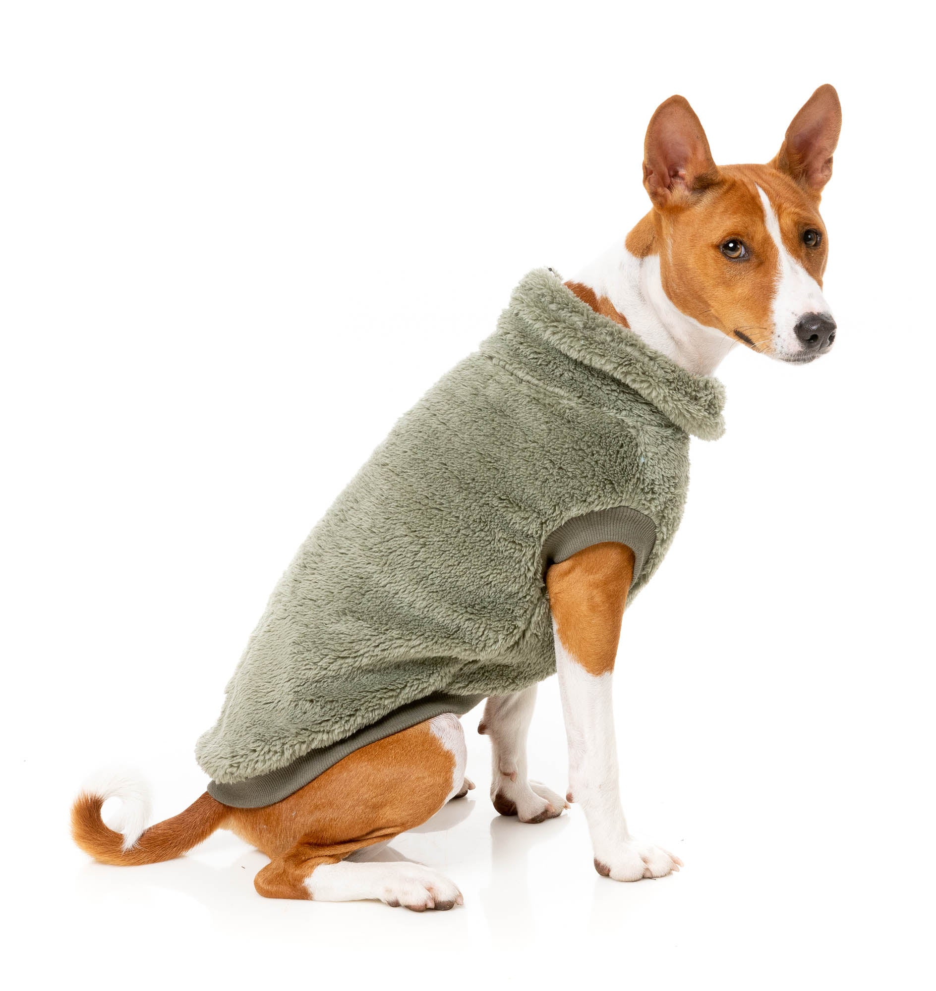 Turtle Teddy 24 Sweater - Rosemary