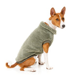 Turtle Teddy 24 Sweater - Rosemary