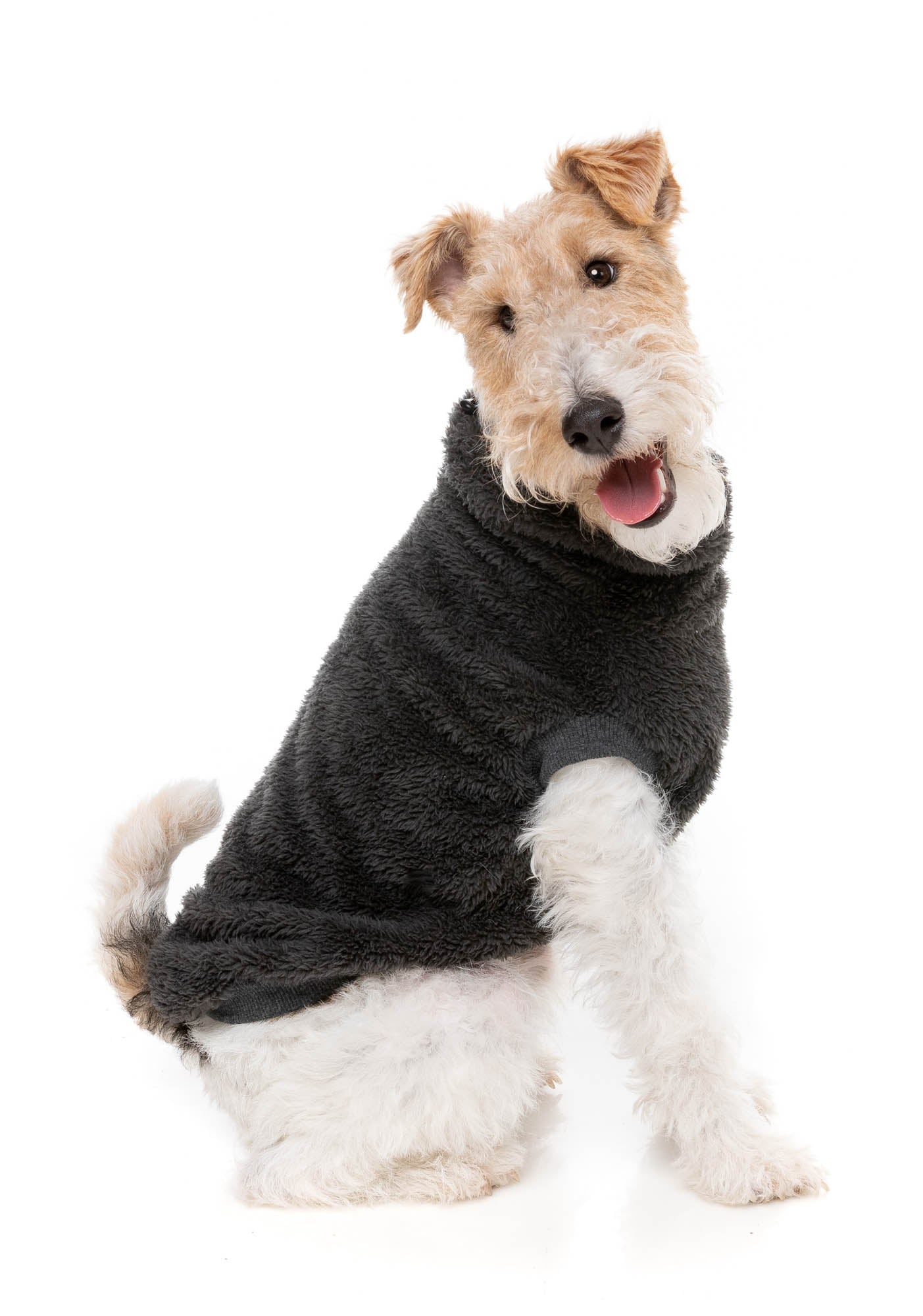Turtle Teddy 24 Sweater - Carbon Black