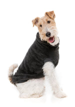 Turtle Teddy 24 Sweater - Carbon Black
