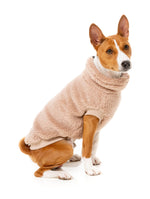 Turtle Teddy 24 Sweater - Chai