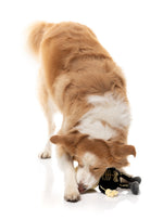 Arthur-itis Halloween - Dog Toy