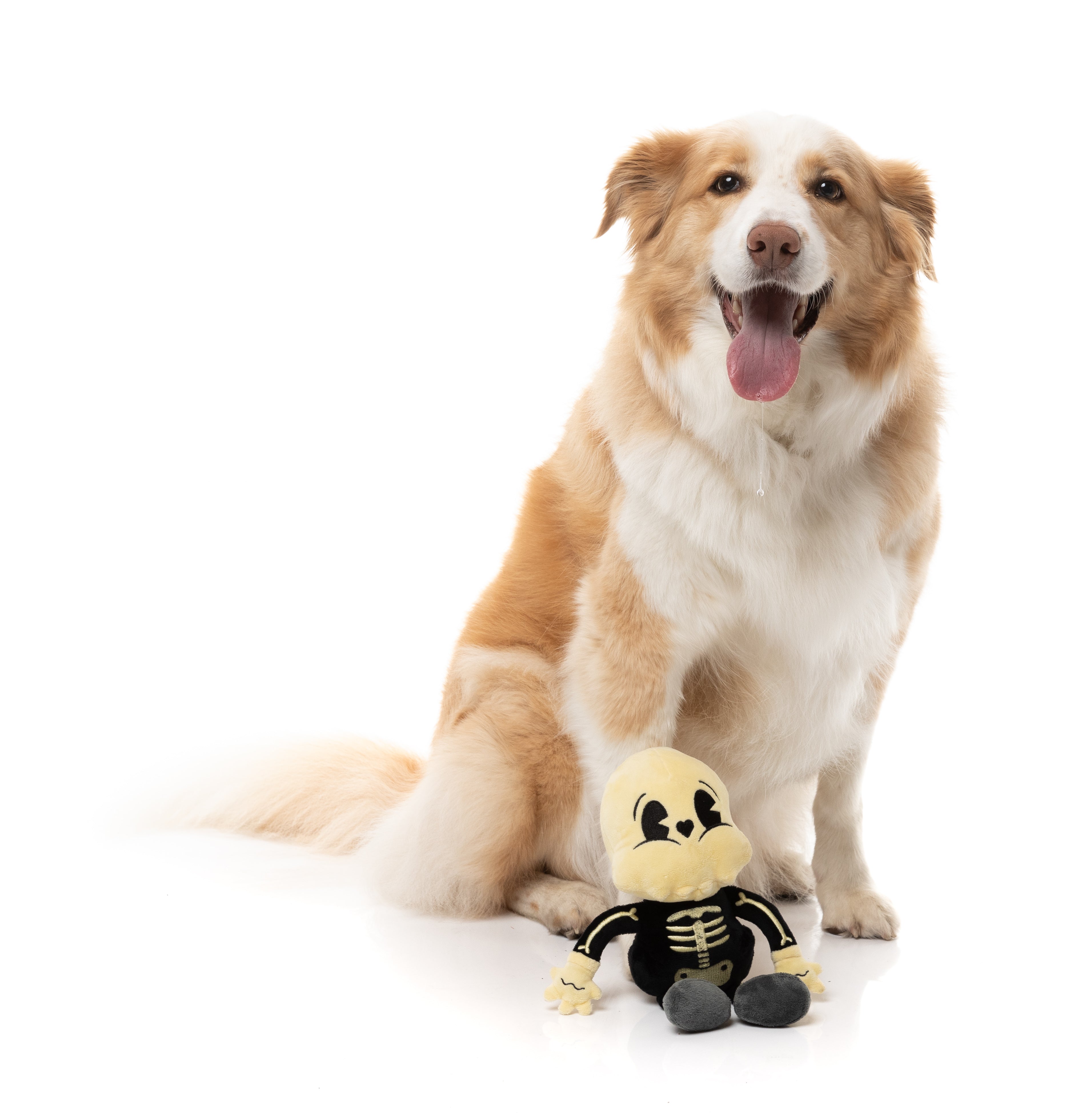 Arthur-itis Halloween - Dog Toy