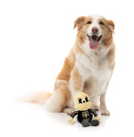 Arthur-itis Halloween - Dog Toy