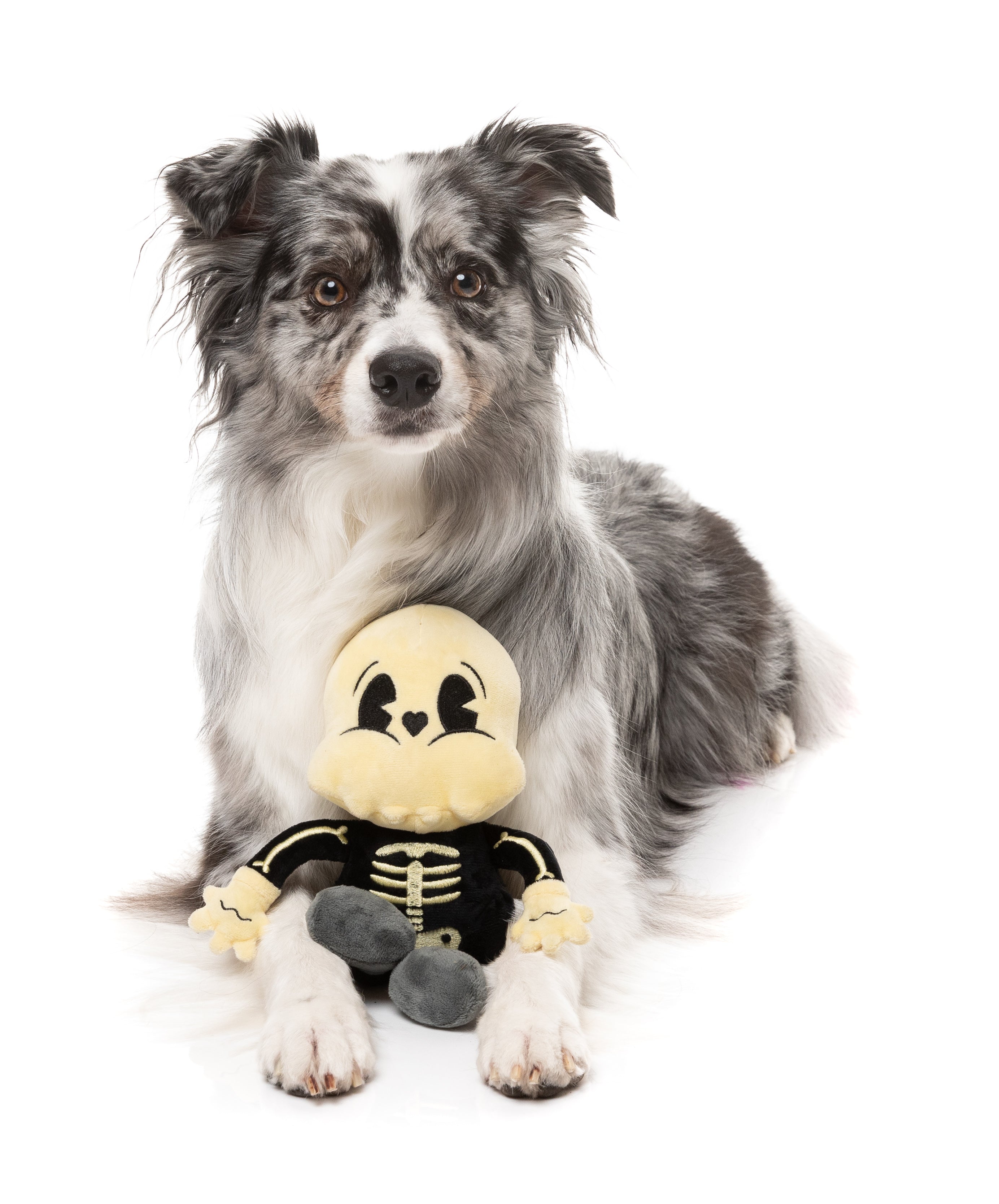 Arthur-itis Halloween - Dog Toy