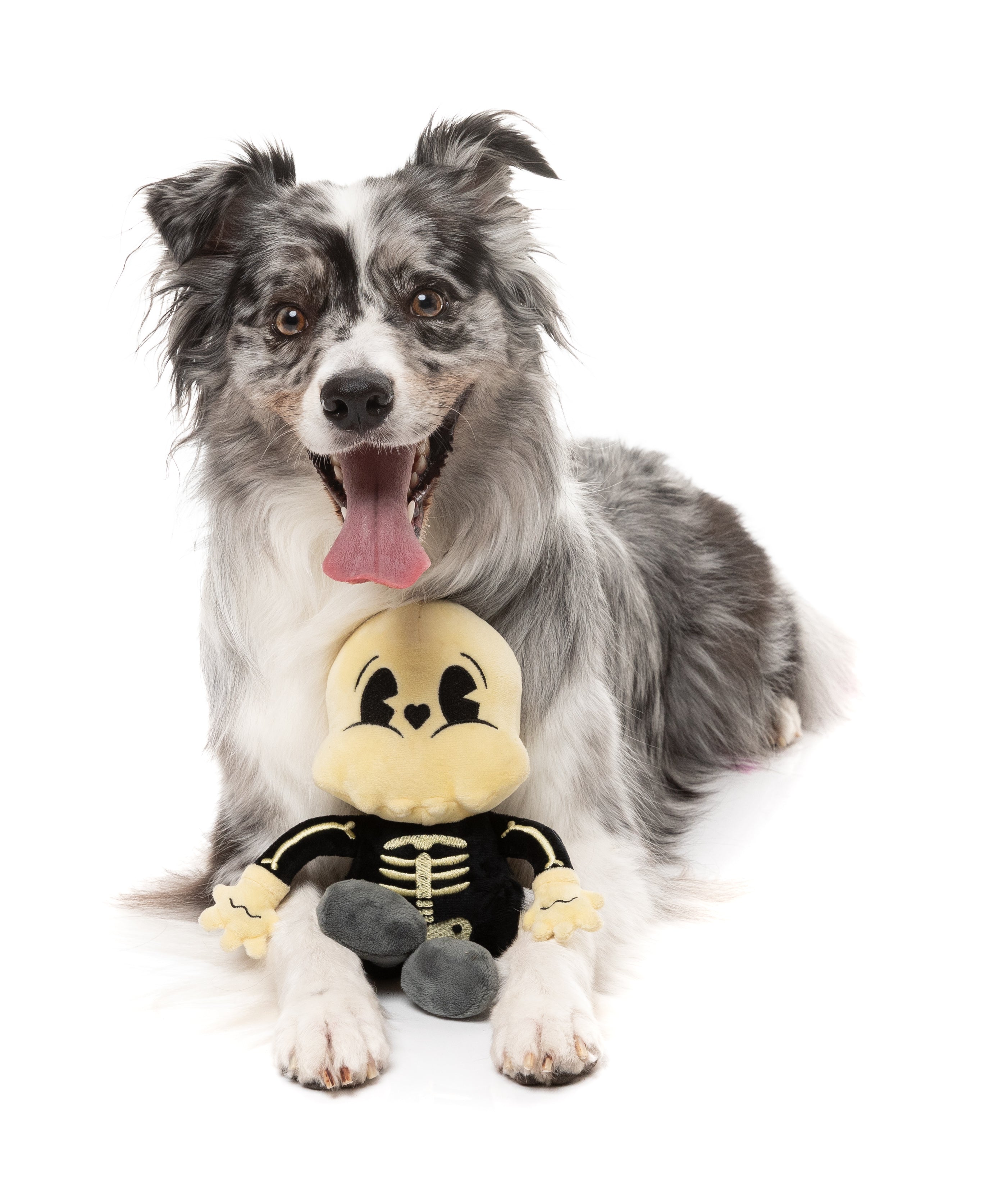 Arthur-itis Halloween - Dog Toy