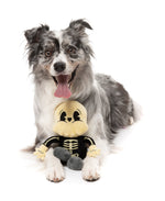 Arthur-itis Halloween - Dog Toy