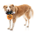 Boo-Ternut Halloween - - Dog Toy