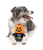 Boo-Ternut Halloween - - Dog Toy