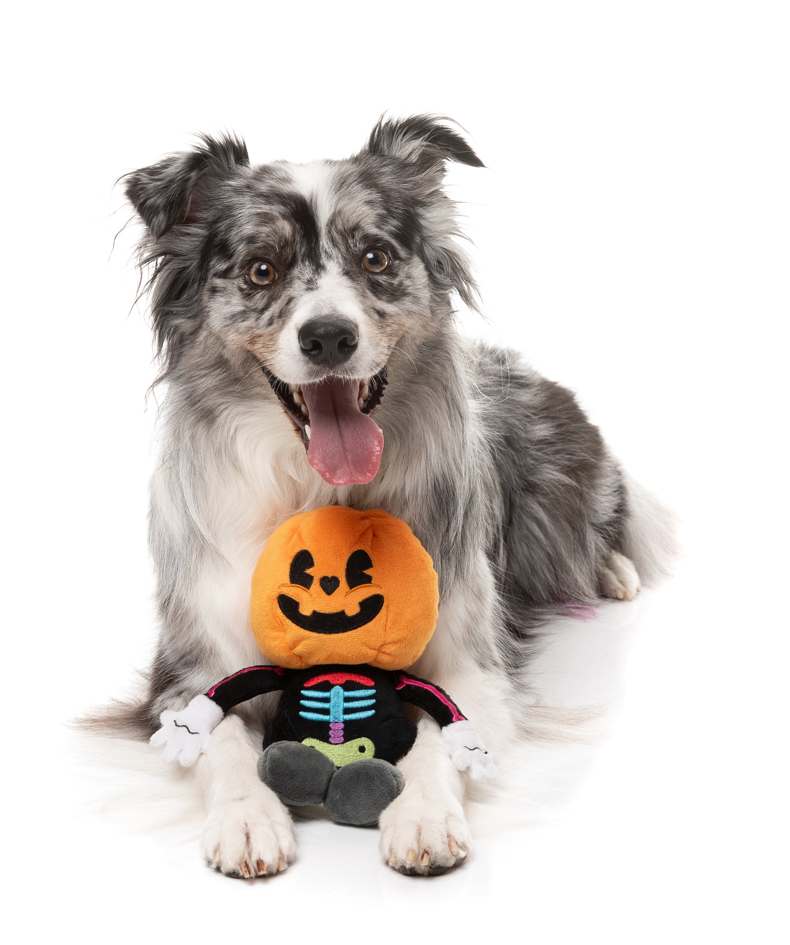 Boo-Ternut Halloween - - Dog Toy