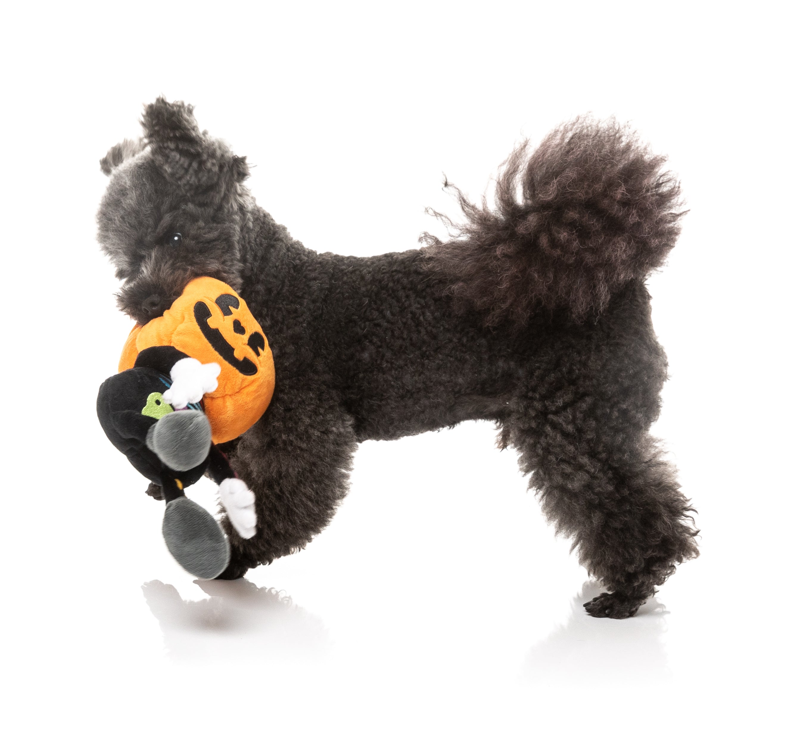 Boo-Ternut Halloween - - Dog Toy