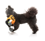 Boo-Ternut Halloween - - Dog Toy
