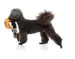 Boo-Ternut Halloween - - Dog Toy