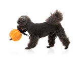 Boo-Ternut Halloween - - Dog Toy