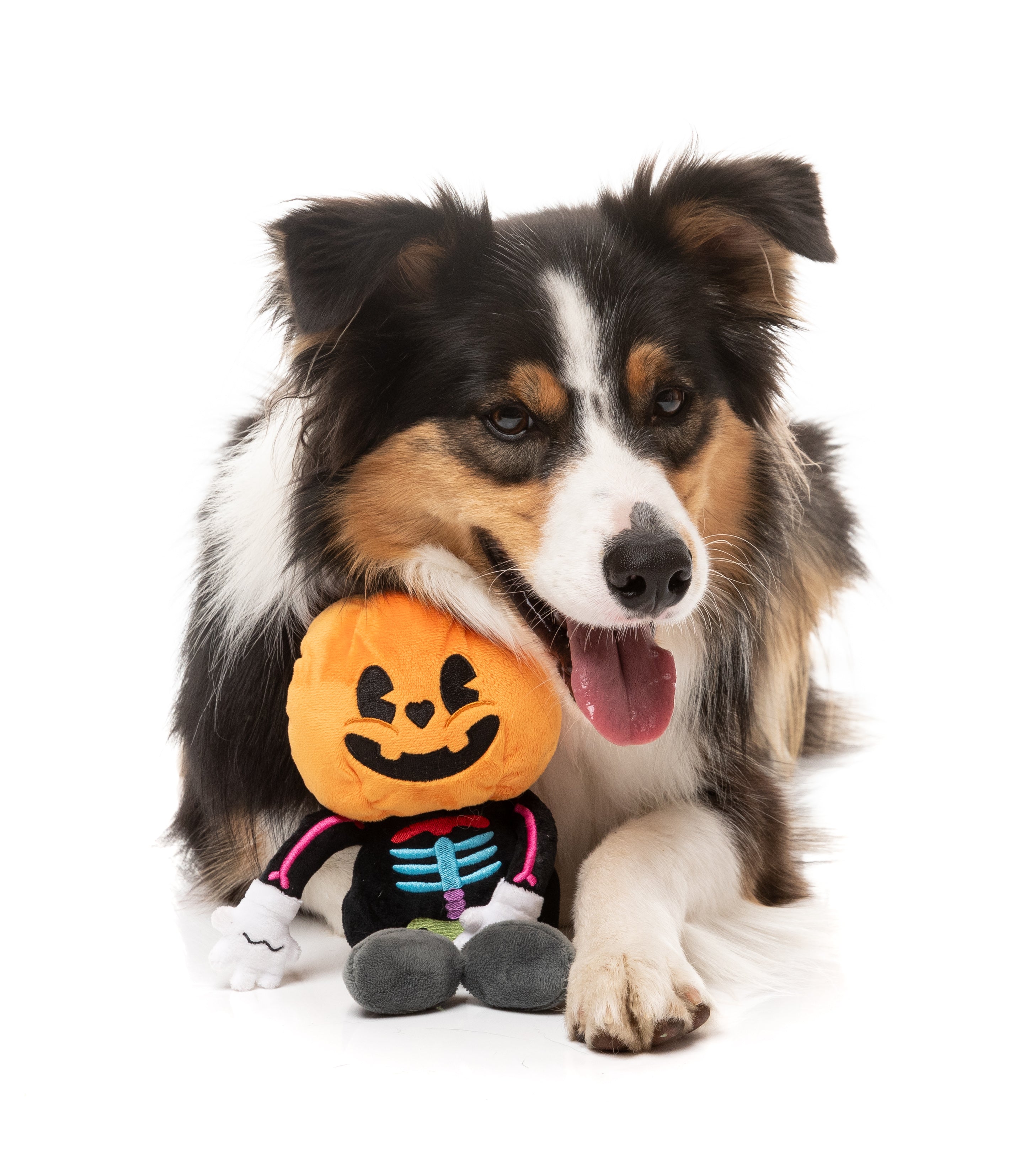 Boo-Ternut Halloween - - Dog Toy