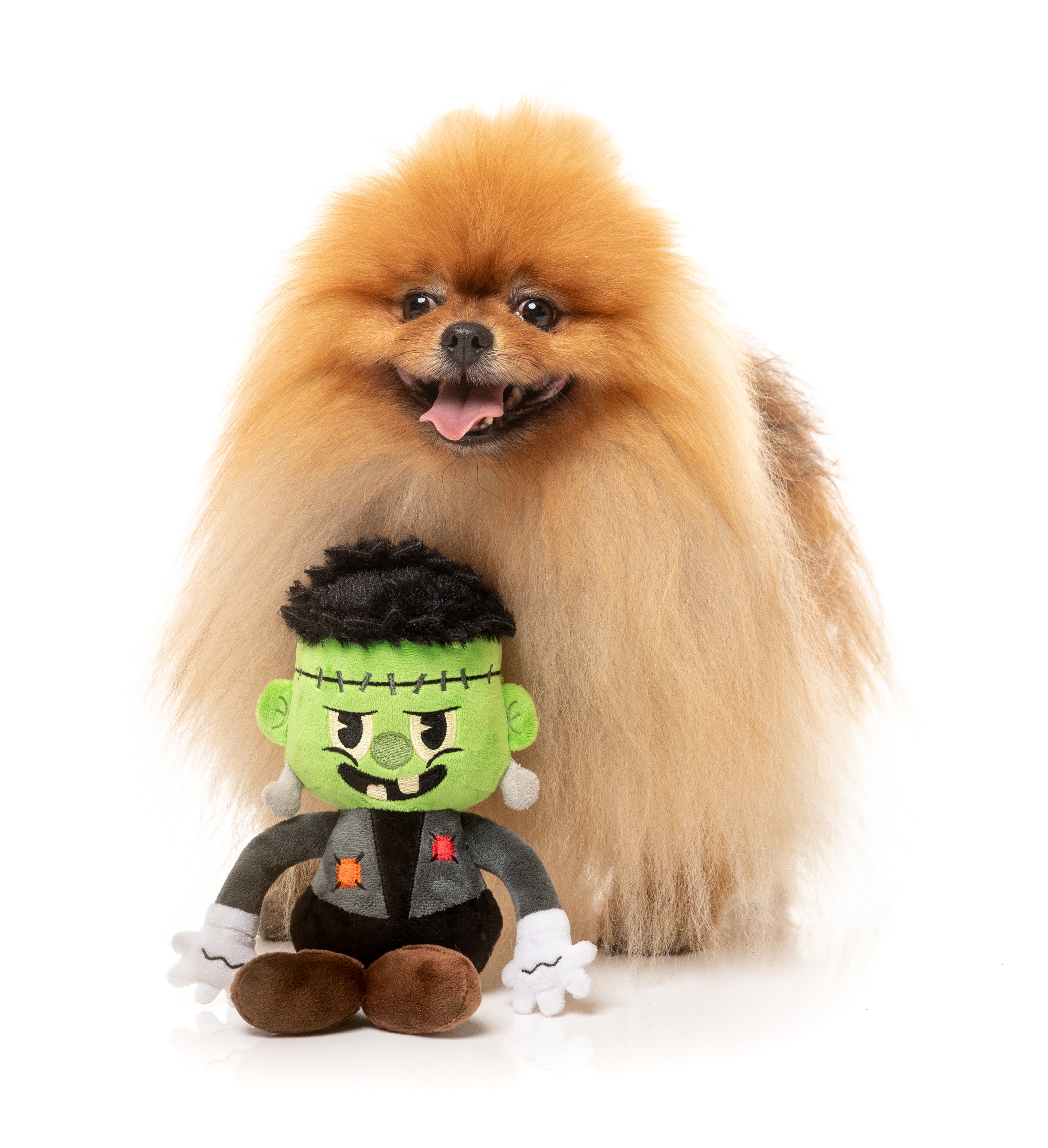 Igor Halloween  - Dog Toy