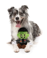 Igor Halloween  - Dog Toy