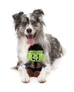 Igor Halloween  - Dog Toy