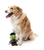 Igor Halloween  - Dog Toy