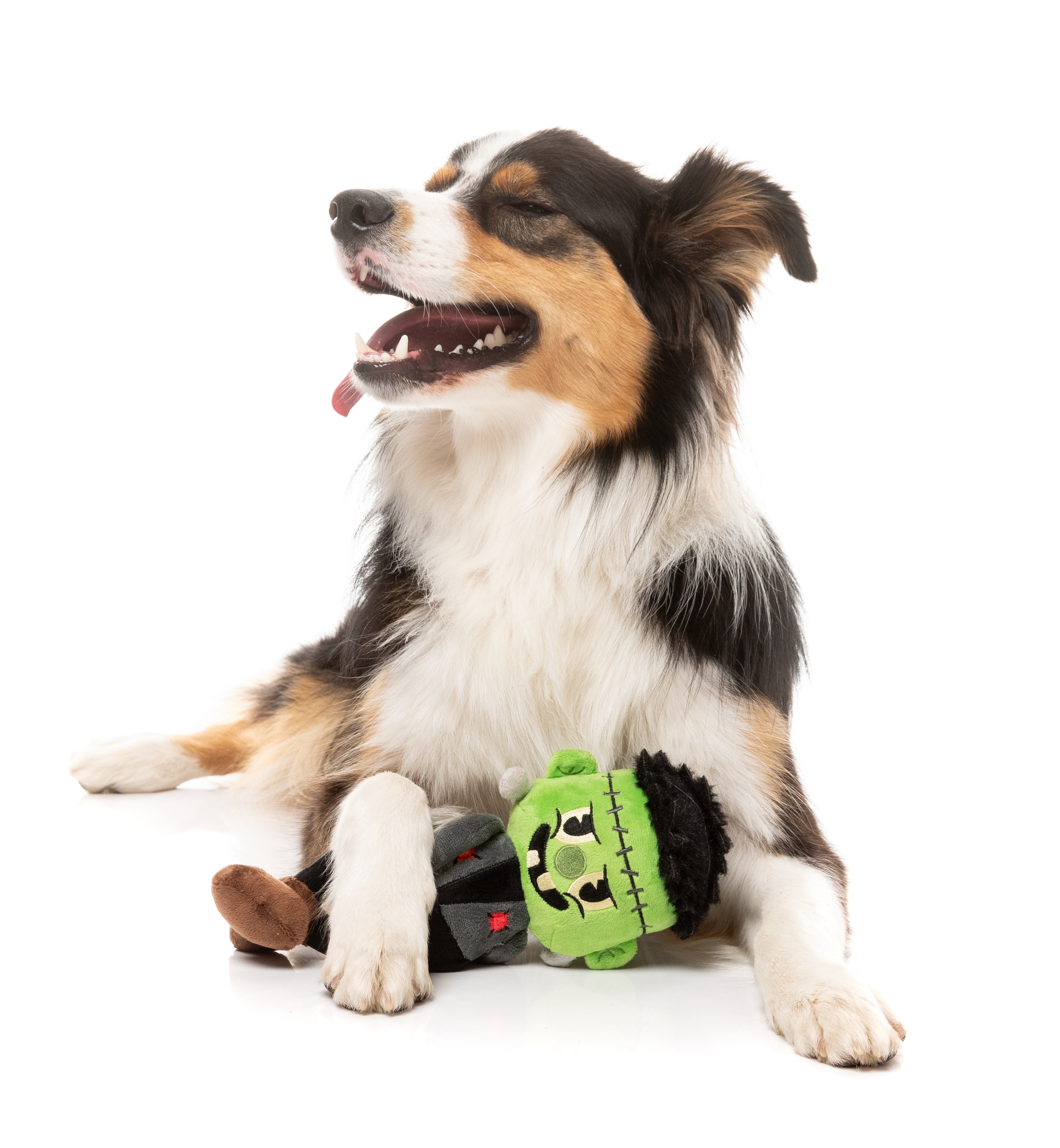 Igor Halloween  - Dog Toy