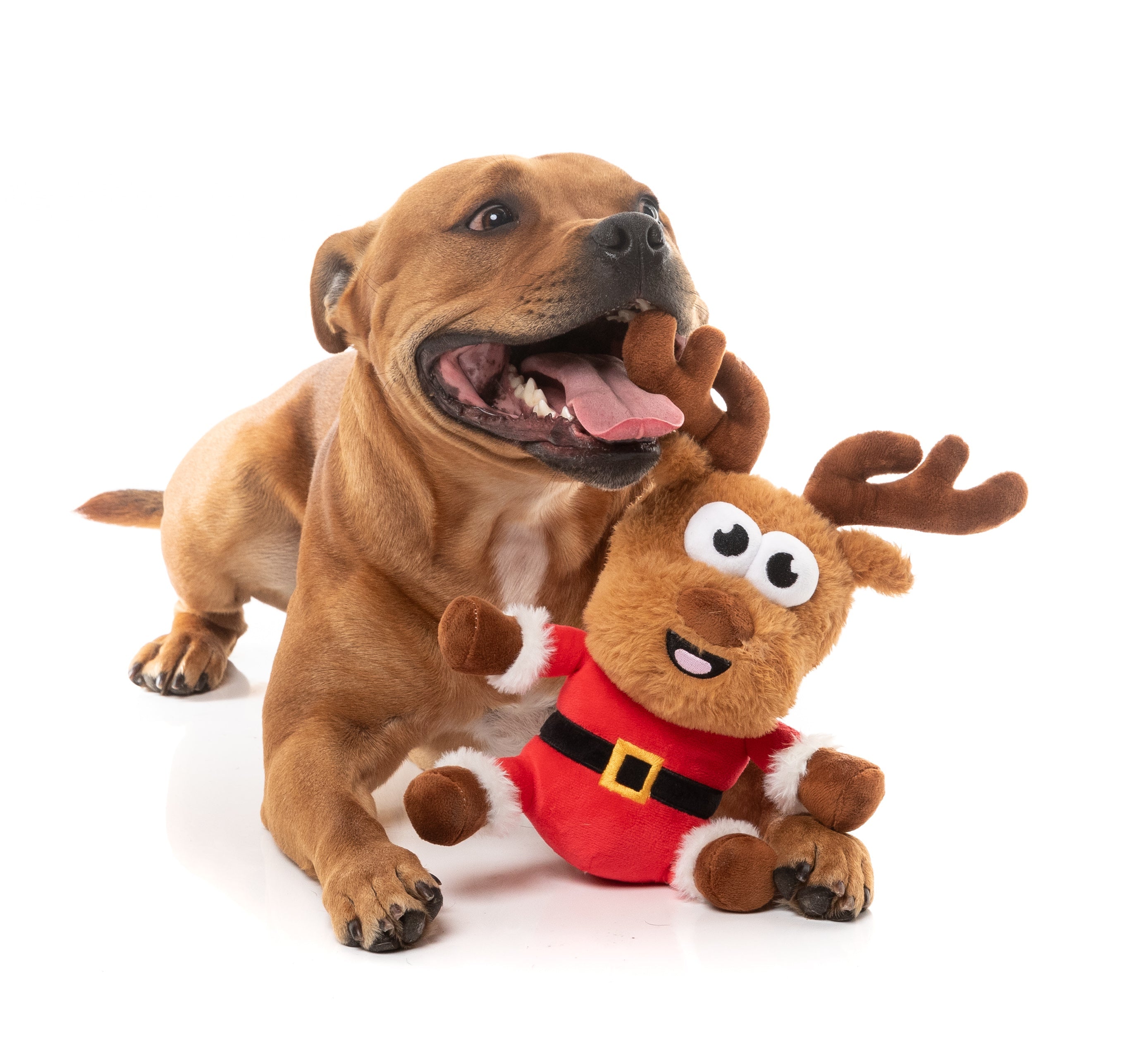 Reggie Claus Reindeer - Christmas - Dog Toy