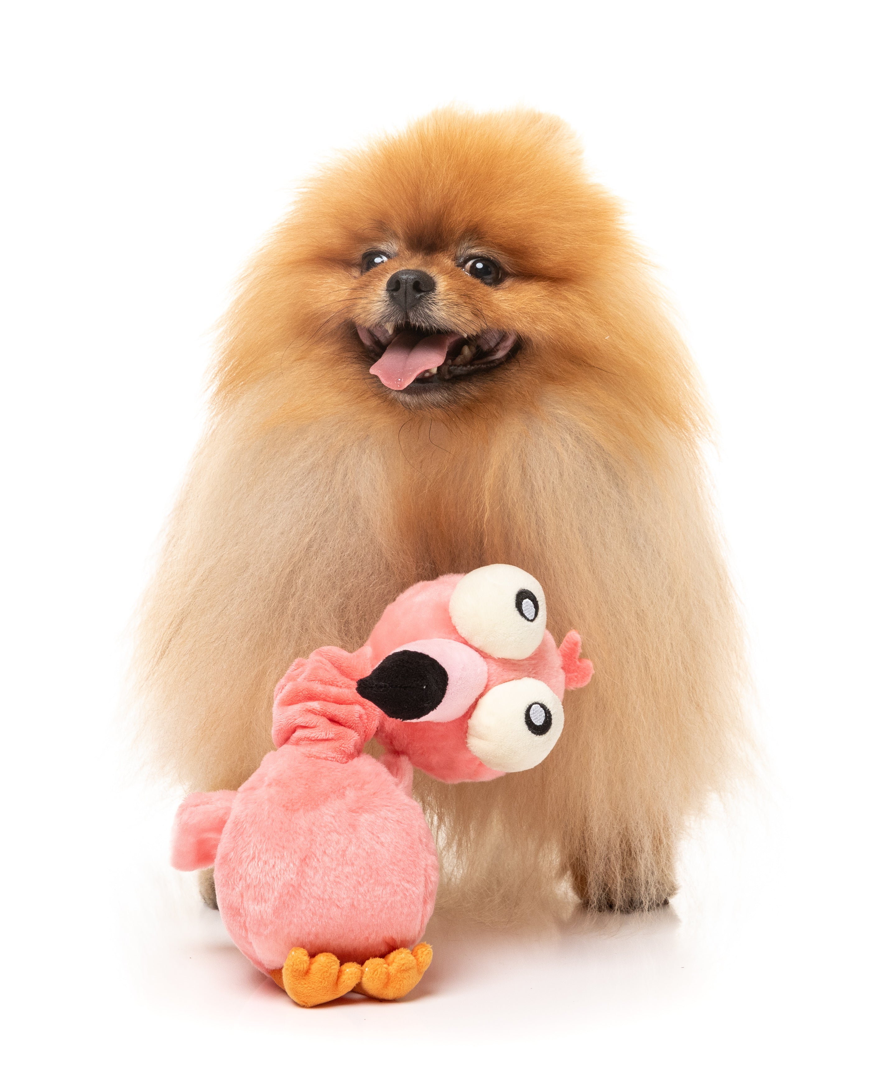 Neckole the Flamingo - Fuzzyard Toys