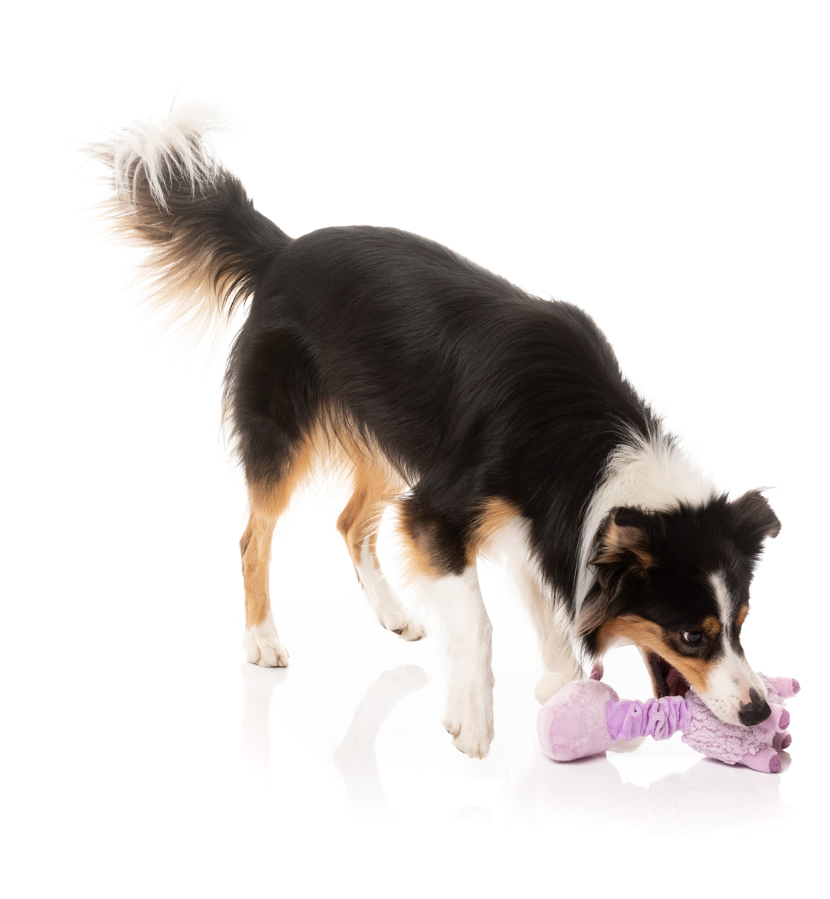 Neckita The Lama - Fuzzyard Toys