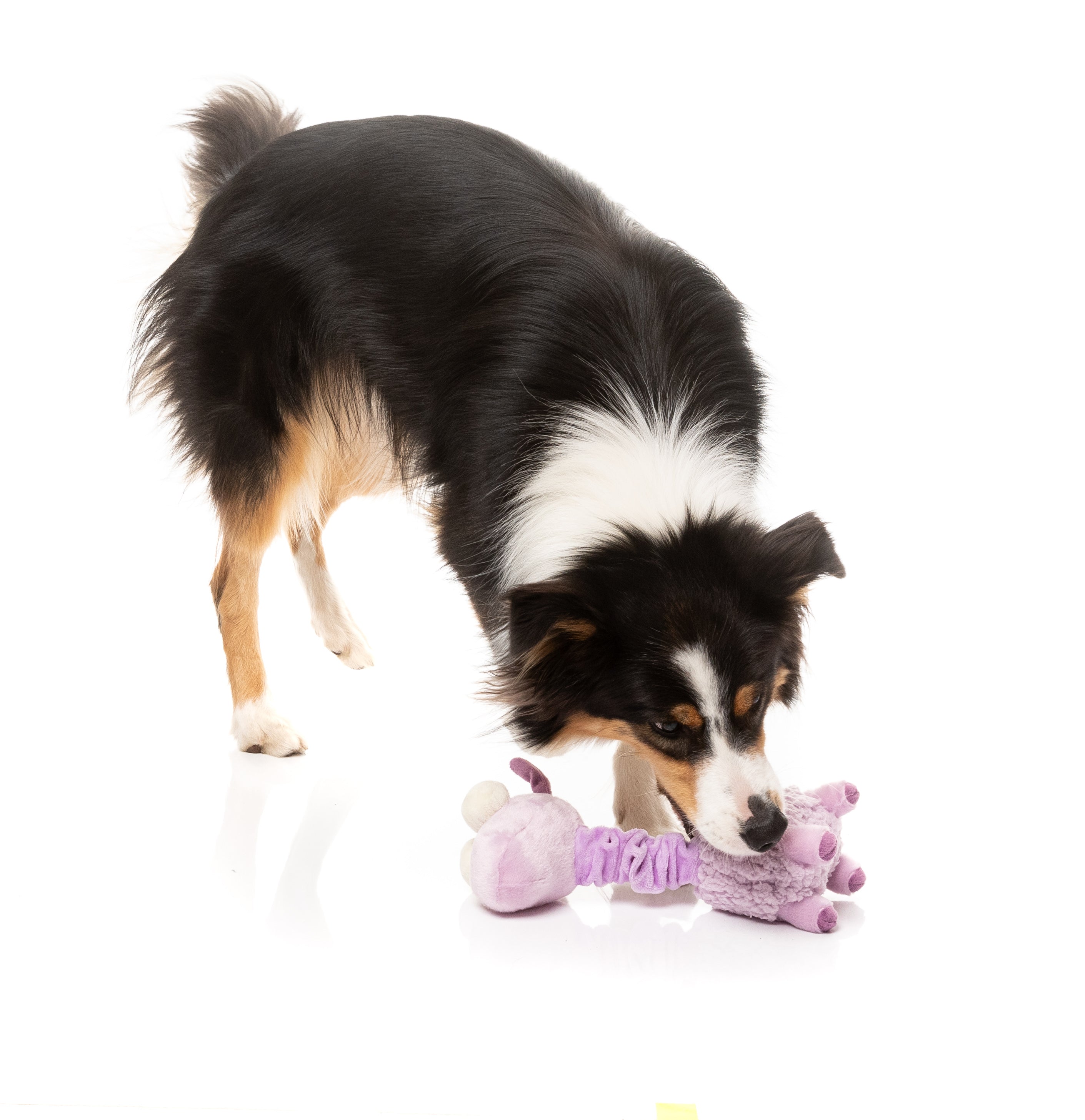 Neckita The Lama - Fuzzyard Toys