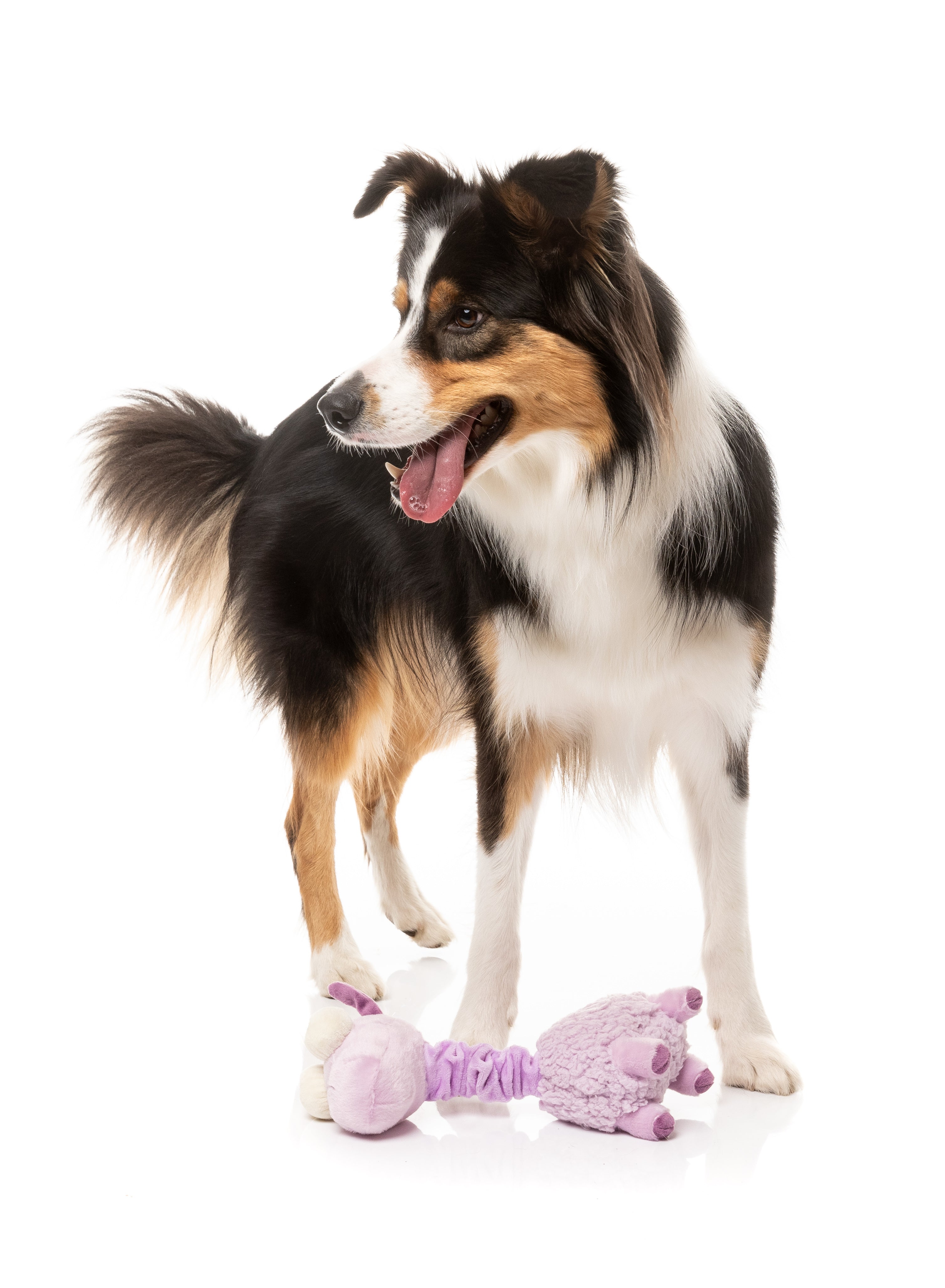 Neckita The Lama - Fuzzyard Toys