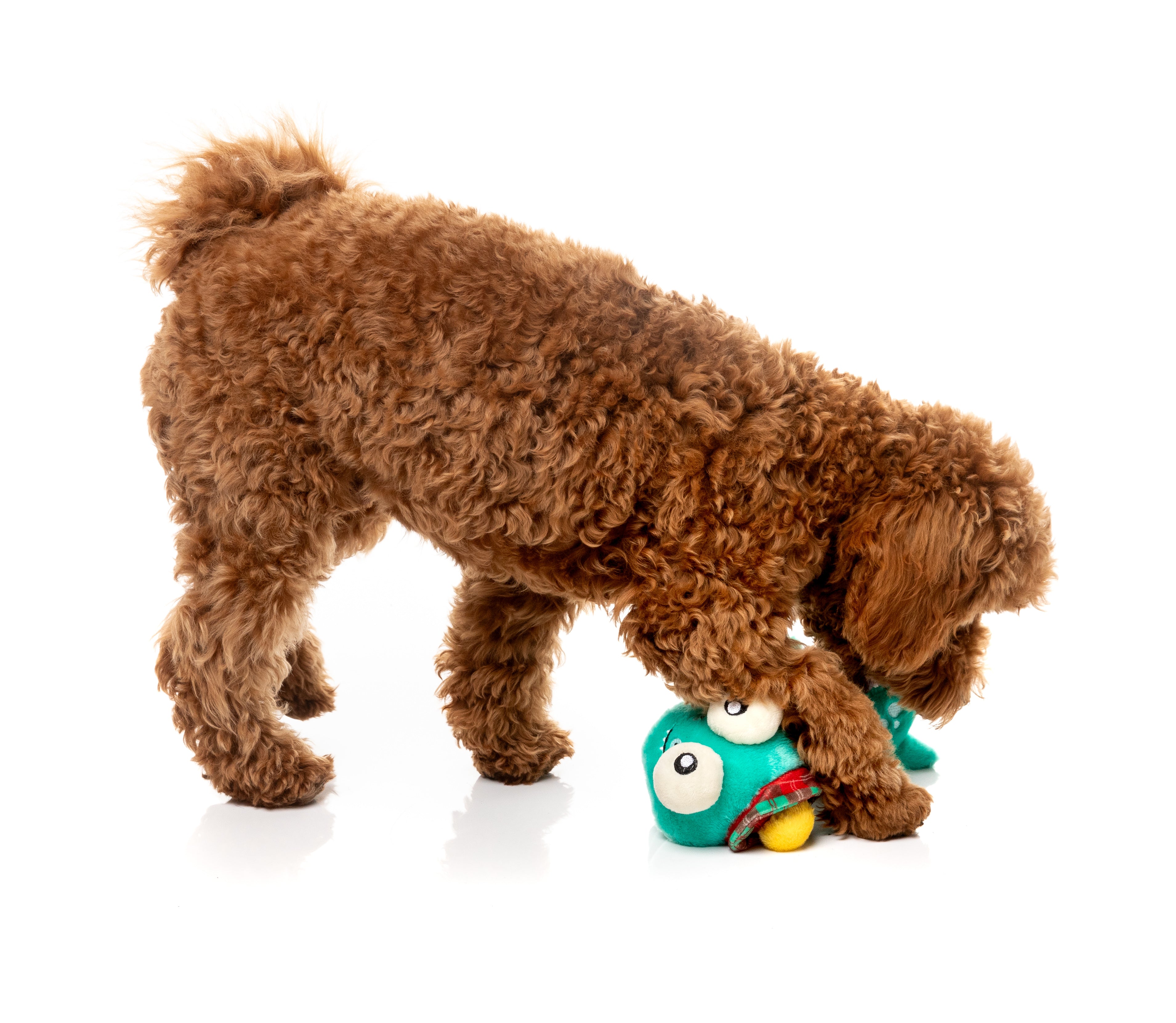 Loch Neck Monster  - Fuzzyard Toys