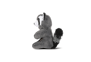 Forest Friends - Robby the Raccoon