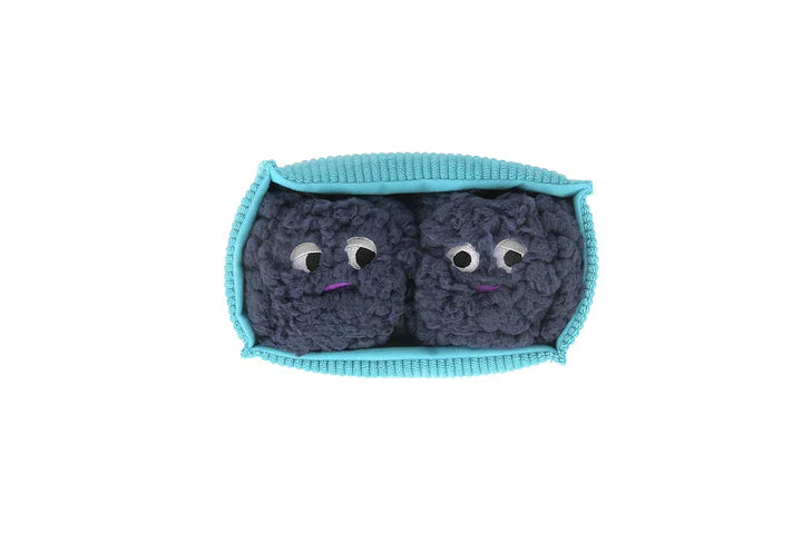 Picked Fresh Blue Beg-rries