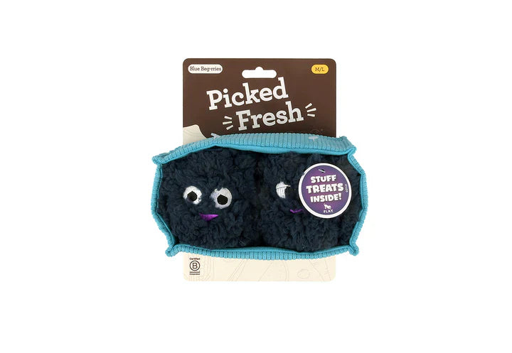 Picked Fresh Blue Beg-rries