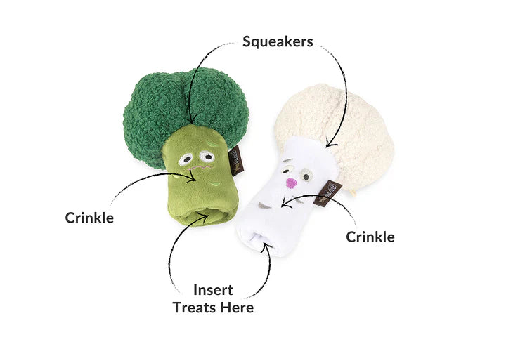 Picked Fresh Veggie Munch Duo