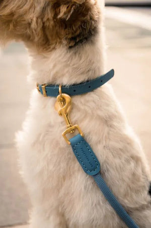 FuzzYard Life Atelier Dog Rope Lead - French Blue