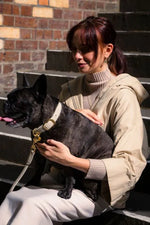 Fuzzyard Life Atelier Dog Collar - Sandstone