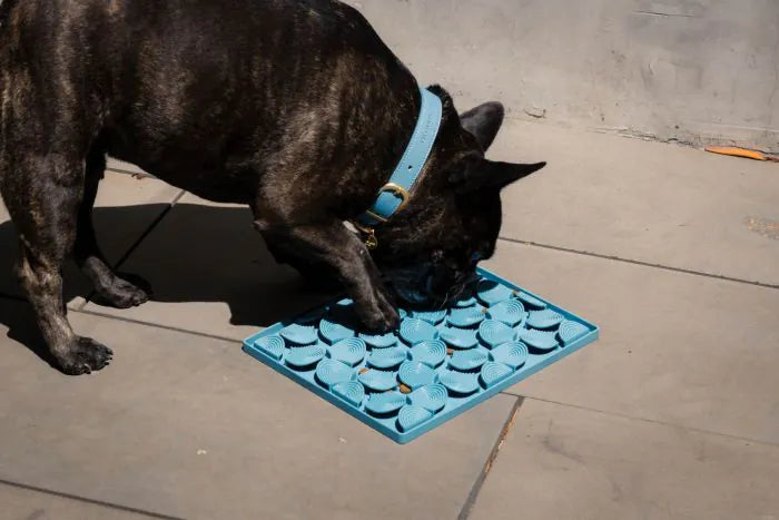 FuzzYard Life Hide & Treat Mat - French Blue