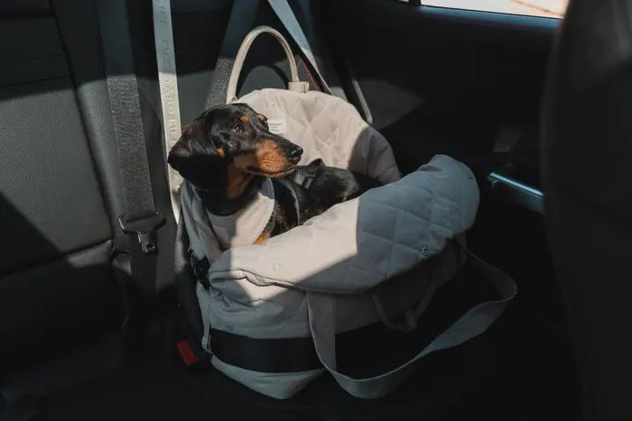 FuzzYard Life Multipurpose Carrier & Car Seat - Slate Grey