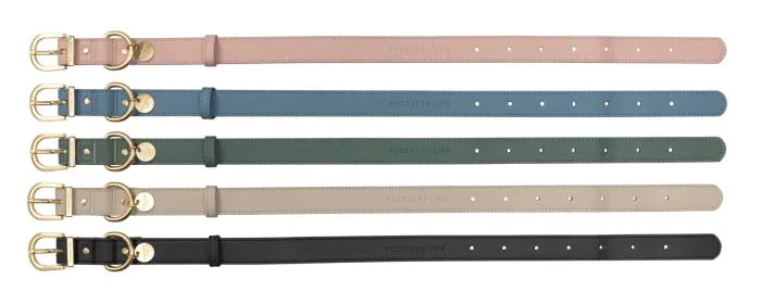 Fuzzyard Life Atelier Dog Collar - Sandstone