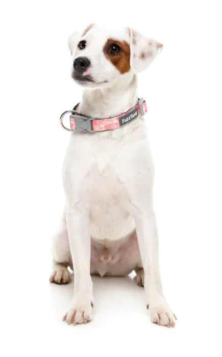 Pink Lemonade Collar