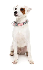 Pink Lemonade Collar