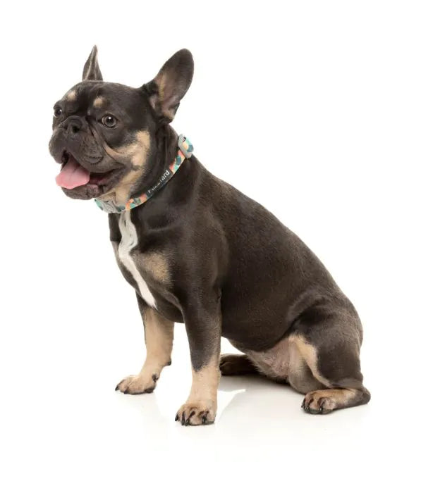 Carioca Collar