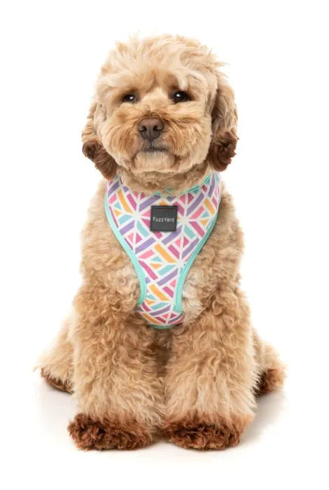 Bubblegum Burst - Dog Harness