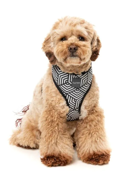 Fitzroy - Dog Harness