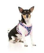 Pluto Pup Step In Harness