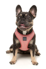 Thornbury - Brick Red- Dog Step In Harness