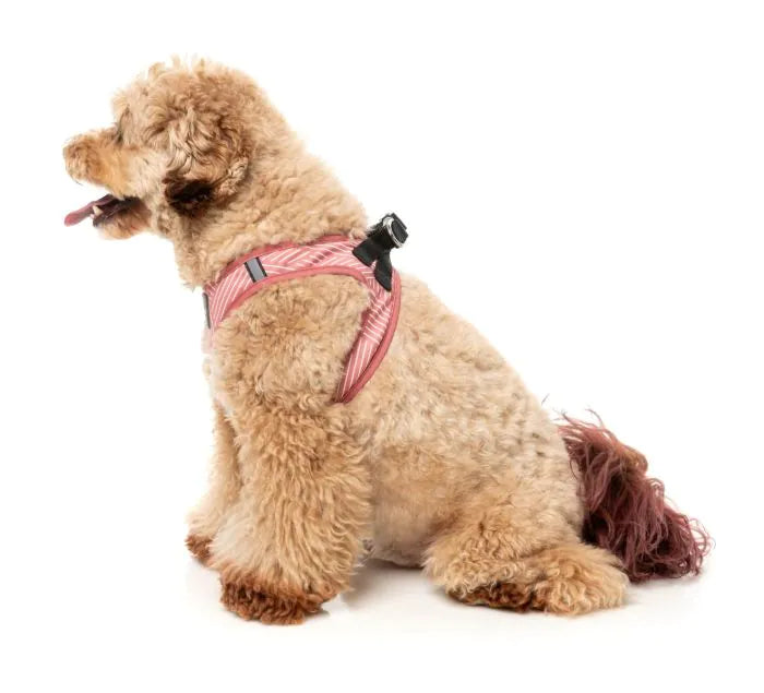 Thornbury - Brick Red- Dog Step In Harness