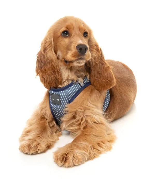 Thornbury - Aejem Blue - Dog Step In Harness