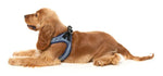 Thornbury - Aejem Blue - Dog Step In Harness